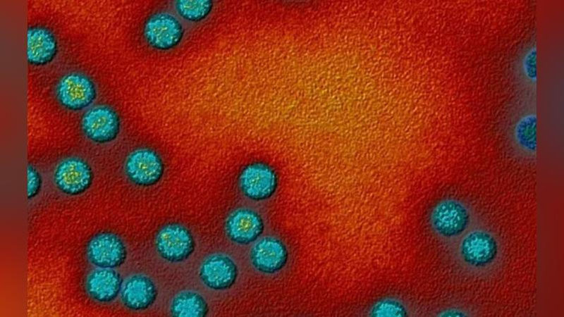 Изрображение 'Британия объявила ЧП национального масштаба из-за вируса полиомиелита в сточных водах'