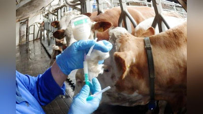 Изрображение 'В Ташкенте начнут готовить кадры для ветеринарной отрасли со следующего года'