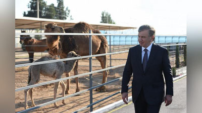 Изрображение 'ВИДЕО: ПЕРВЫЙ ДЕНЬ ПОЕЗДКИ ГЛАВЫ УЗБЕКИСТАНА В ЮЖНЫЙ РЕГИОН'