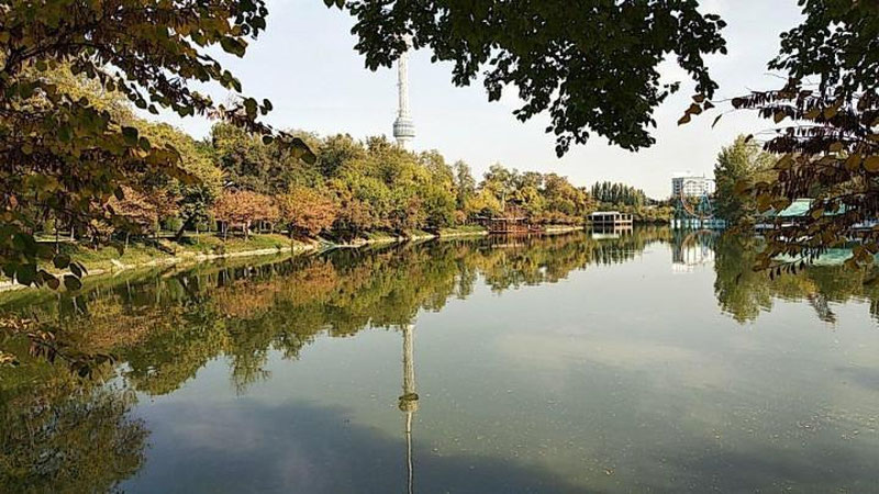 Изрображение 'ПОГОДА НА 11 ОКТЯБРЯ: НЕМНОГО ПОТЕПЛЕЕТ'