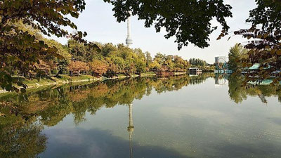 Изрображение 'ПОГОДА НА 11 ОКТЯБРЯ: НЕМНОГО ПОТЕПЛЕЕТ'