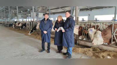 Изрображение 'В Мининноваций Узбекистана рассказали детали об антиковидном молоке'