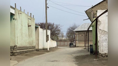 Изрображение 'Человеческий скелет во дворе дома обнаружил житель Навоийской области'