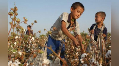 'O`zbekiston bolalar mehnatidan voz kecha olgan eng yaxshi toifadagi davlat – AQSh Mehnat vazirligi'ning rasmi