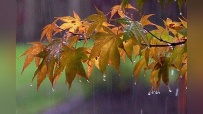 'Bugun ba`zi joylarda yomg`ir yog`ib, momaqaldiroq bo`lishi mumkin'ning rasmi