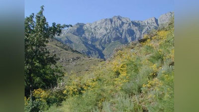 Изрображение 'До конца недели в Узбекистане немного похолодает'