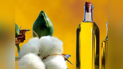 Изрображение 'ПРАВИТЕЛЬСТВО НЕ БУДЕТ РЕГУЛИРОВАТЬ ЦЕНЫ НА ХЛОПКОВОЕ МАСЛО'