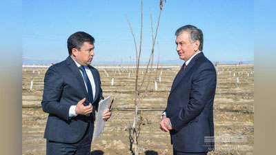 Изрображение 'ПРЕЗИДЕНТ ПОСАДИЛ ОРЕХОВОЕ ДЕРЕВО В ЯККАБАГСКОМ САДУ'