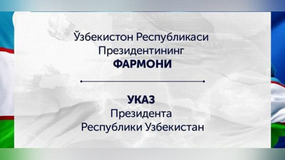 Изрображение 'ВИДЕО-КОММЕНТАРИЙ К УКАЗУ О НОВЫХ ЗАДАЧАХ НАРОДНЫХ ПРИЕМНЫХ (ВИДЕО)'
