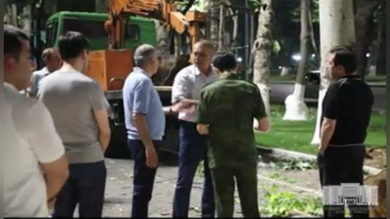 Изрображение 'Свидетелем незаконной рубки деревьев в Ташкенте стал сам хоким (видео)'