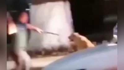 Изрображение 'Зоозащитники призвали наказать участников расправы над собакой в Самарканде'