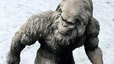 Изрображение 'ФБР рассекретило документы про йети'