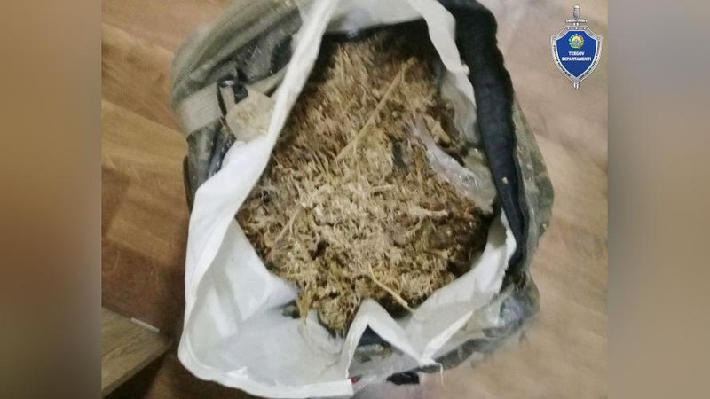 Изрображение 'У жителя Алмалыка изъяли почти 4 кг марихуаны'