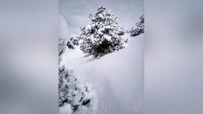 Изрображение 'ЮГ УЗБЕКИСТАНА ЗАВАЛИЛО СНЕГОМ (ФОТО, ВИДЕО)'