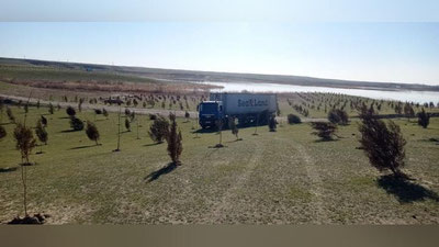 Изрображение 'На агро-участке Шуртанского ГХК, где высадили 72 тысячи деревьев, внедряют систему полива'