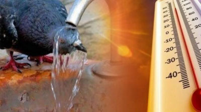 'Дунёнинг айрим нуқталарида "Осиё депрессияси" кузатилмоқда'ning rasmi