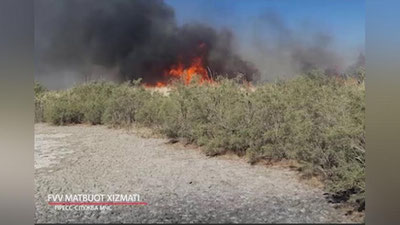 Изрображение 'В Бухарской области тушат крупное возгорание камышовых зарослей'