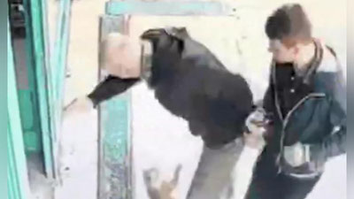 Изрображение 'КОШКА- МУЖЕНЕНАВИСТНИЦА ИЗ СТАМБУЛА ПРОСЛАВИЛАСЬ В СЕТИ (ВИДЕО)'