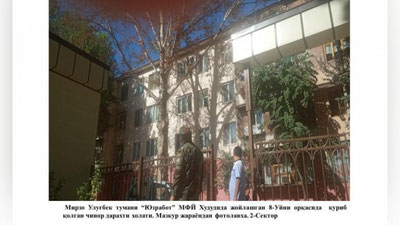 Изрображение 'Хокимият о вырубке на ТТЗ: деревья засохли "под воздействием природных факторов"'