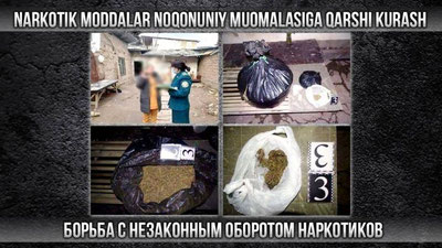 Изрображение 'Инспектор по вопросам женщин выявила в Ташкенте факт незаконного хранения 7,7 кг марихуаны'