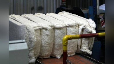 Изрображение 'В НАМАНГАНСКОЙ ОБЛАСТИ СГОРЕЛО 74 КГ ХЛОПКА'