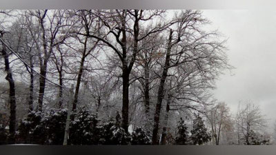 Изрображение 'ПОГОДА НА 21 ДЕКАБРЯ: ХОЛОДНО, БЕЗ ОСАДКОВ'