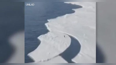 Изрображение 'ПИНГВИН-СУПЕРМЕН ПОКОРИЛ ИНТЕРНЕТ (ВИДЕО)'