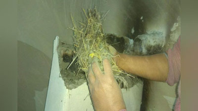 Изрображение 'ДВОЕ ЧЕЛОВЕК ПОГИБЛИ В РИШТАНЕ ИЗ-ЗА ЗАБИТОГО ДЫМОХОДА'