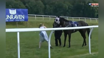 Изрображение 'БРИТАНСКАЯ ЖУРНАЛИСТКА ОСТАНОВИЛА НА СКАКУ КОНЯ (ВИДЕО)'