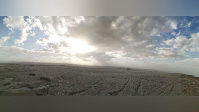 Изрображение 'НА ДНЕ АРАЛЬСКОГО МОРЯ ПОСАДЯТ ЛЕС'