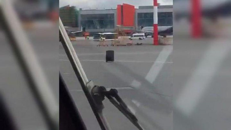 Изрображение 'Багаж сбежал от грузчиков в аэропорту: забавное видео'