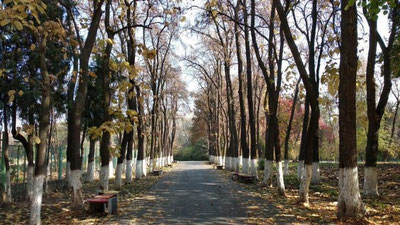 Изрображение 'Ташкентский ботанический сад временно закрыт для посещения'