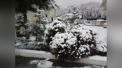 Изрображение 'Прогноз погоды на 15 января'