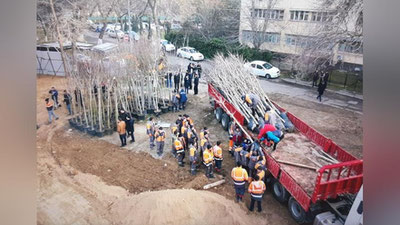 Изрображение 'В Ташкенте за одну ночь посадили новую рощу вместо вырубленной застройщиком (фото, видео)'