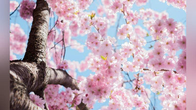 Изрображение 'Синоптики пообещали дожди и прохладу на новой рабочей неделе'