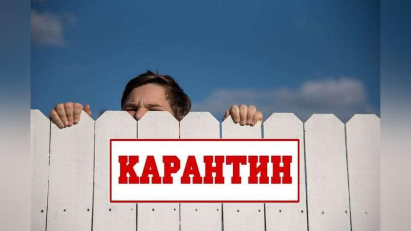 Изрображение 'Пресечена попытка бегства из карантина в Кашкадарье'