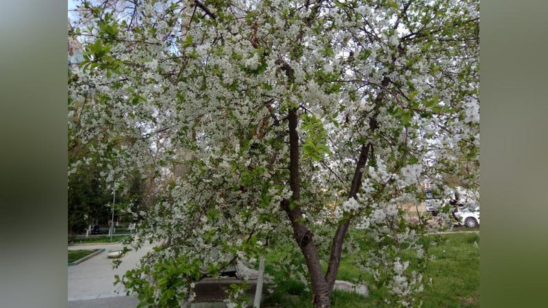 Изрображение 'На выходных температура воздуха начнет повышаться'