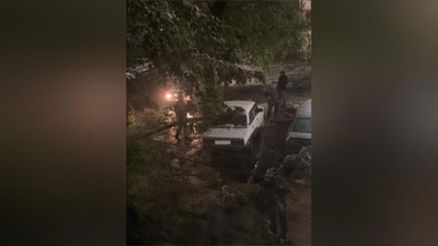 Изрображение 'Столичный хокимият попросил припарковать авто подальше от деревьев'