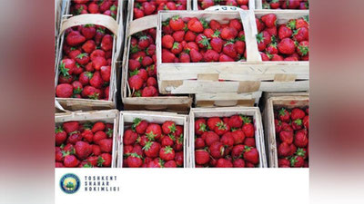 Изрображение 'В махаллях Ташкента разрешили торговлю клубникой'