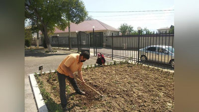 Изрображение 'Территории школ искусств в Ташобласти начали засаживать лимонами и помидорами'