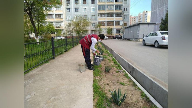 Изрображение 'Президент Узбекистана подписал Закон "О занятости населения" (видео)'