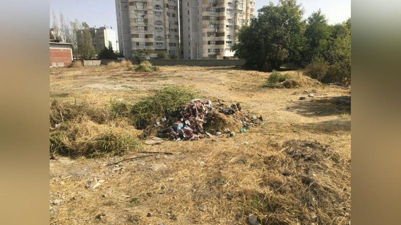 Изрображение 'Граждан будут поощрять денежной премией за фотографии правонарушений в сфере экологии'