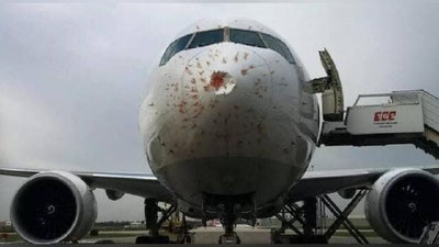 Изрображение 'Направлявшийся в Казахстан турецкий Boeing столкнулся со стаей птиц (видео)'