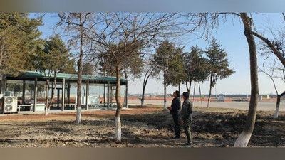 Изрображение 'В Сергели экскаватор валил деревья: реакция экологов (видео)'