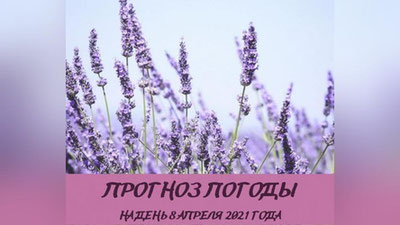 Изрображение 'В Ташкенте до +24: погода на 8 апреля'