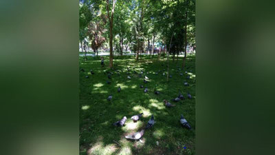 Изрображение 'Небольшой температурный спад пообещали синоптики в среду'