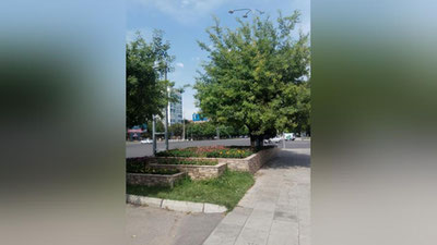 Изрображение 'В Узбекистане жара усилится: погода на 27 мая'