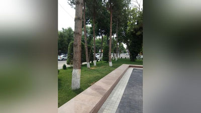 Изрображение 'Во второй половине недели температура воздуха снова начнет расти'