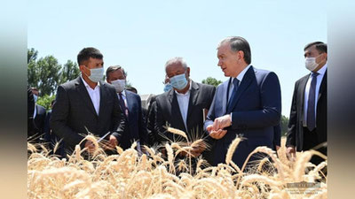 Изрображение 'Глава государства осмотрел инновационную теплицу и побывал на пшеничном поле (фото)'