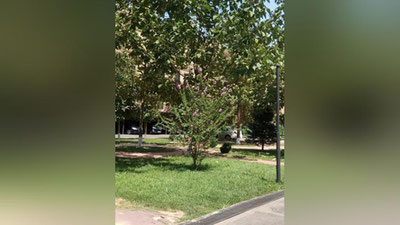 Изрображение 'Жара наступает: погода на 31 июля'